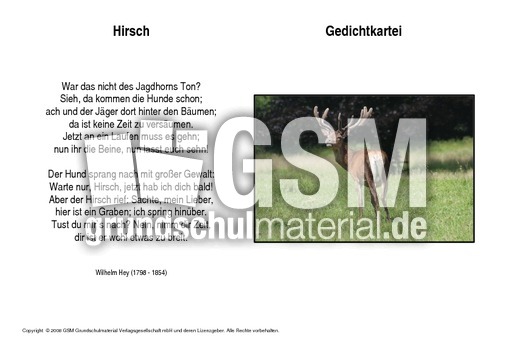 Hirsch-Hey.pdf